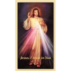 Divine Mercy Chaplet Holy Prayer Card