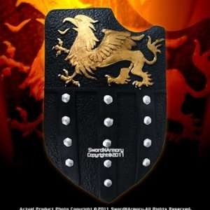   Medieval Knight Foam Fantasy Jousting Shield LARP: Sports & Outdoors