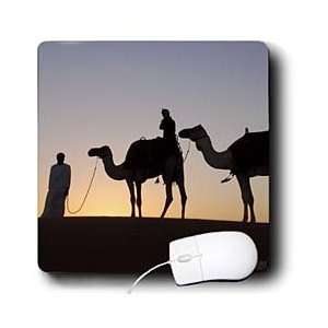   used for racing at Dubai Camel Racecourse   Mouse Pads Electronics