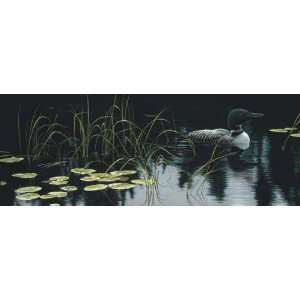     Lily Pads and Loon Artists Proof Canvas Giclee