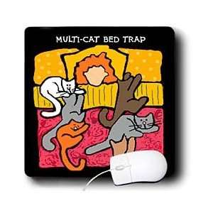  Funny Cat Gifts   Cat Trap, Cartoon Cats, Cats, Cat, Funny cats 