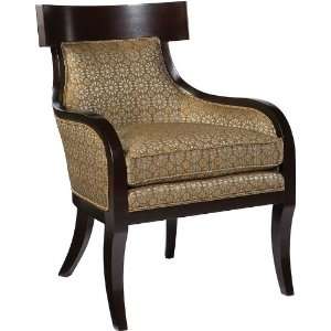   Health Care Senior Living Guest Room Accent Arm Chair: Home & Kitchen