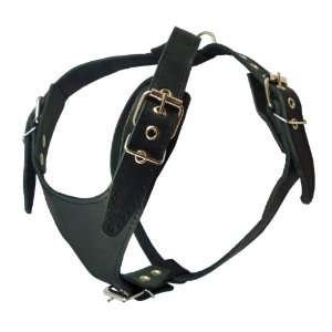  Black Genuine Leather Dog Harness, Medium. 25 30 Chest 