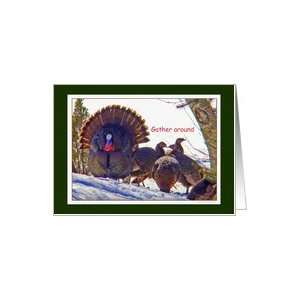  Thanksgiving, Turkeys, One Full Feathered Fan Card Health 