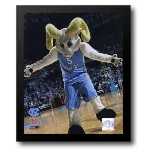  University of North Carolina   Ramses the Tar Heels Mascot 