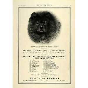 1923 Ad Greenacre Kennels Li Ping Tow Chow Chow Champion Dog Breeders 