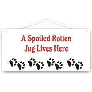  A Spoiled Rotten Jug Lives Here: Everything Else