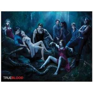    Magnet (Large): TRUE BLOOD   Season 3 Promo: Everything Else
