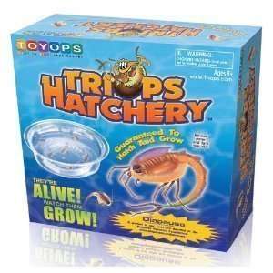  Toyops Triops Hatchery Toys & Games