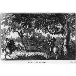   Scene,men on horseback,rifles,man treed by dog