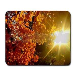  Amazing Autumn Fall Large Rectangular Mouse Pad   9.25 x 7 