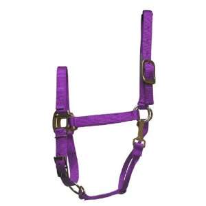 Horse Halter, Lavender, Small 