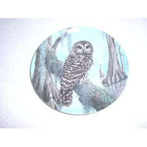  The Barred Owl Plate by Jim Beaudoin: Everything Else