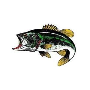  Green Bass Fish Magnet: Automotive