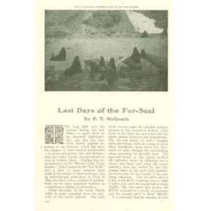    1907 Fur Seal Hunting St Paul Island Bering Sea: Everything Else