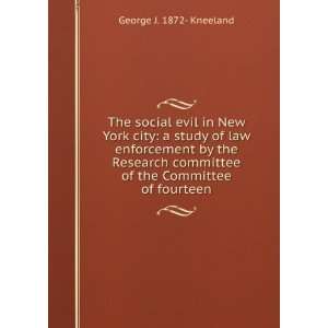  The social evil in New York city a study of law 