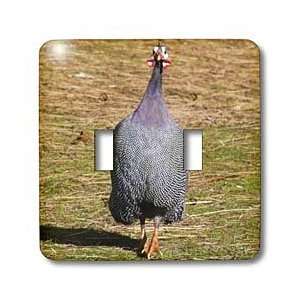     Photography  Chickens   Light Switch Covers   double toggle switch