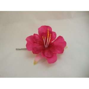  Pink Fuchsia Flower Bobby Pin: Everything Else