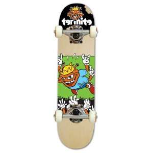  Termite TM Mosh Complete Skateboard Deck: Sports 