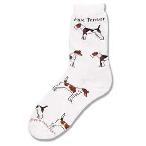  Fox Terrier Poses Socks