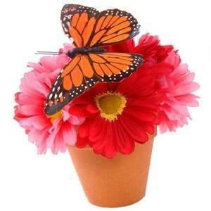  Butterfly Flower Type home fragrance oil 15ml: Beauty