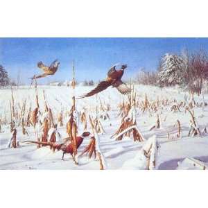  David Maass   Touch of Winter Pheasants Artists Proof 