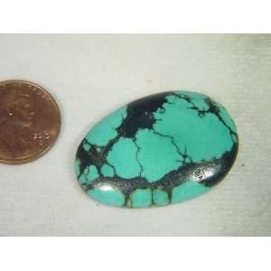  Genuine natural Chinese turquoise lapidary freeform 