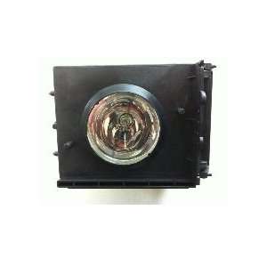   Replacement projector lamp with Module and Housing 