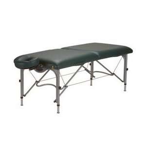  Earthlite Luna Massage Table Teal   Model 560390T: Health 