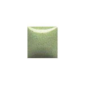   Envision glaze low fire In1052 sage brush 4 oz. 