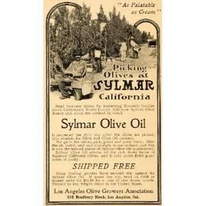  1903 Ad Sylmar Olive Oil Los Angeles Growers Trees 
