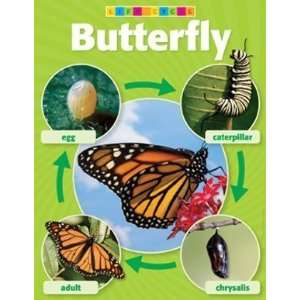   978 0 545 11899 6 Butterfly Life Cycle Photo Chart: Office Products