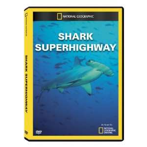   National Geographic Shark Superhighway DVD Exclusive 