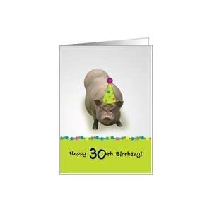    Happy 30th Birthday, Hope Its Sueyt Party Pig Card Toys & Games