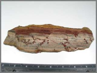 Also known as Red Butte Jasper this large solid gorgeous porcelain 