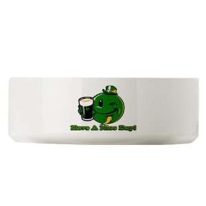  Large Dog Cat Food Water Bowl Irish Have a Nice Day Smiley 