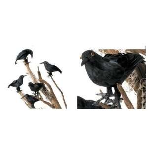    SET OF FIVE BABY CROWS HALLOWEEN DECORATION: Everything Else