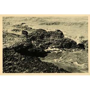  1927 Hallig Halligen German Island Rock Strata Germany 