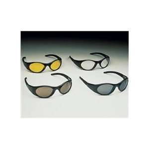  Stingers safety glasses: Home Improvement