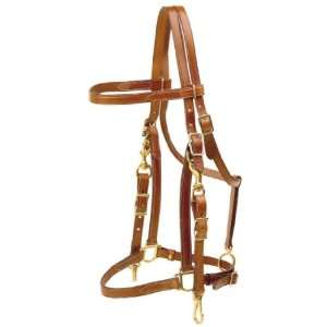 TORY LEATHER Halter/ Bridle Combination Trail Bridle  