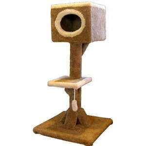 48 Kitty Cat Watch Tower