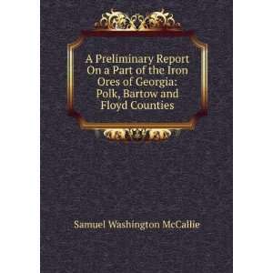    Polk, Bartow and Floyd Counties Samuel Washington McCallie Books