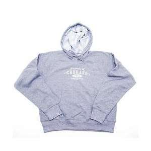 Idaho Falls Chukars Womens Logo Hooded Grey Sweatshirt by 5th & Ocean 