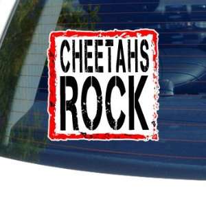  Cheetahs Rock   Window Bumper Laptop Sticker: Automotive