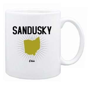  New  Sandusky Usa State   Star Light  Ohio Mug Usa City 