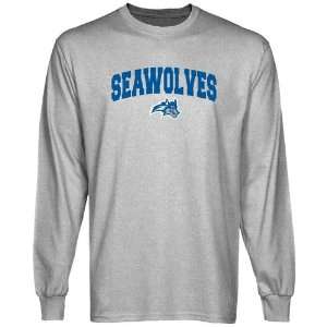  Stony Brook Seawolves Ash Logo Arch Long Sleeve T shirt 
