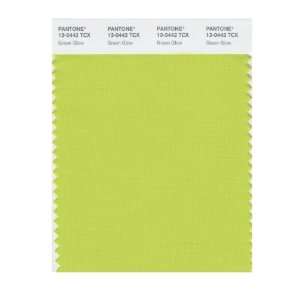  PANTONE SMART 13 0442X Color Swatch Card, Green Glow: Home 