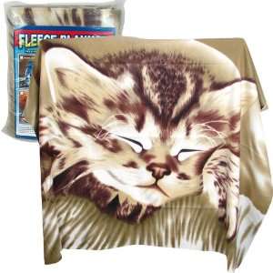  Sleeping Kitten Fleece Throw Blanket   48 x 63 Inches 