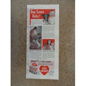 Red Heart dog food, Vintage 40s Illustration print ad. (dog saves 