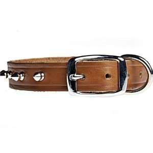  Latigo Bison Leather Spiked Collars Made in USA Pet 